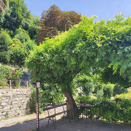 Villa Antonella, App. Vittoria Tavernerio エクステリア 写真