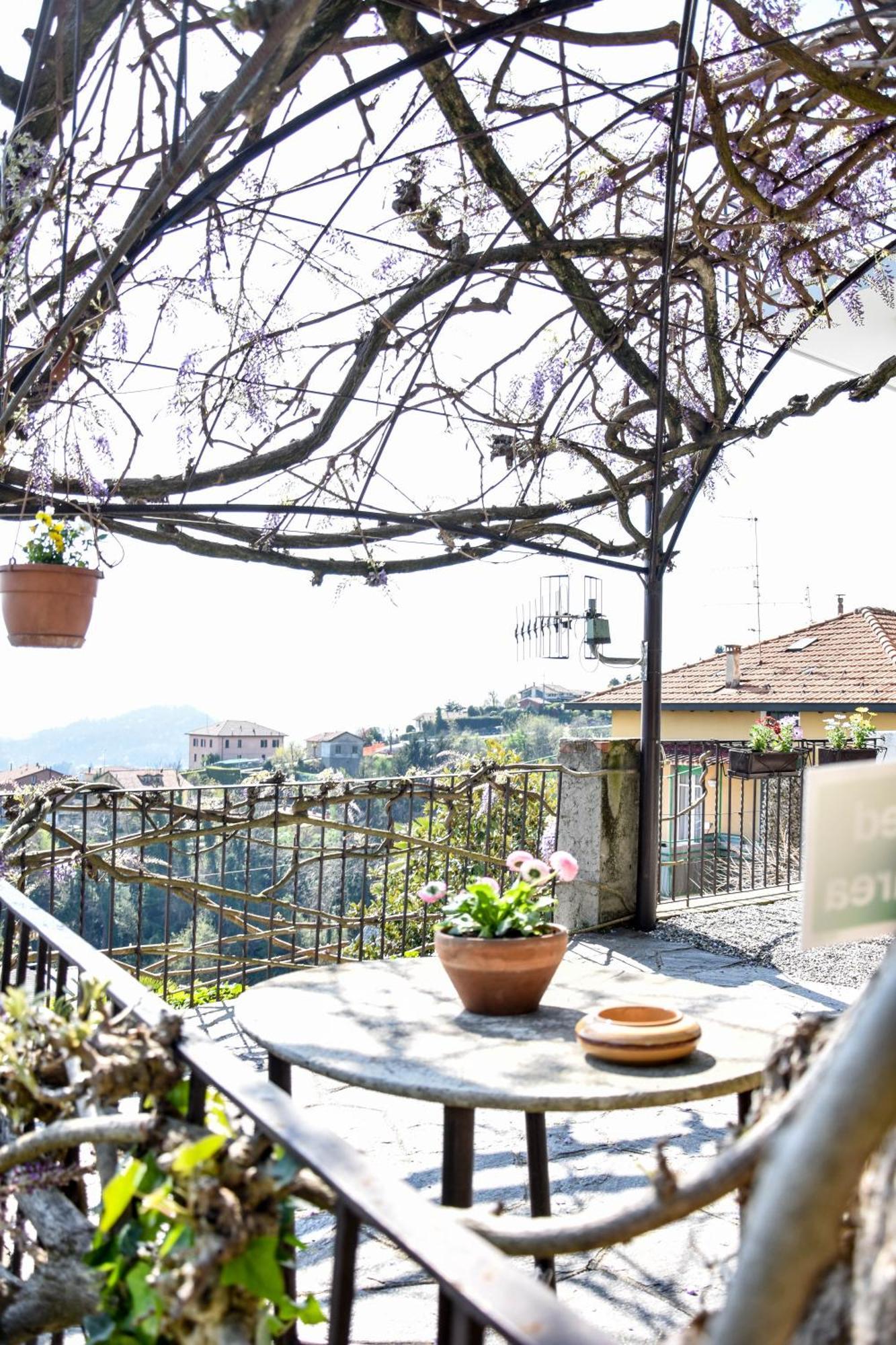 Villa Antonella, App. Vittoria Tavernerio エクステリア 写真
