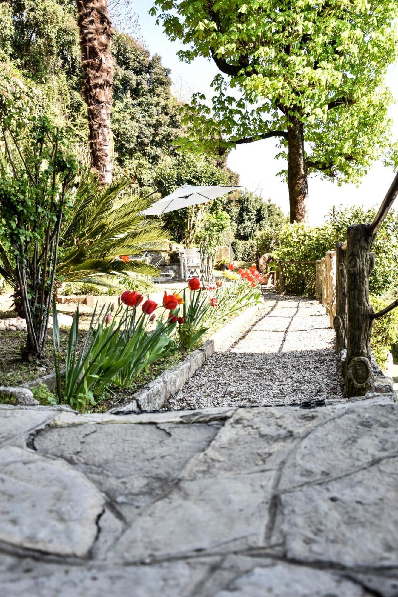 Villa Antonella, App. Vittoria Tavernerio エクステリア 写真