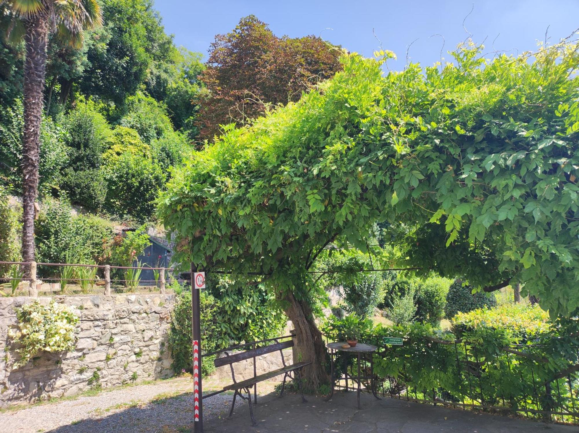Villa Antonella, App. Vittoria Tavernerio エクステリア 写真